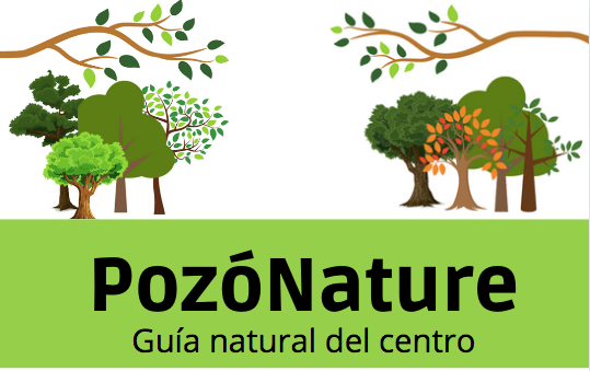 pozonature